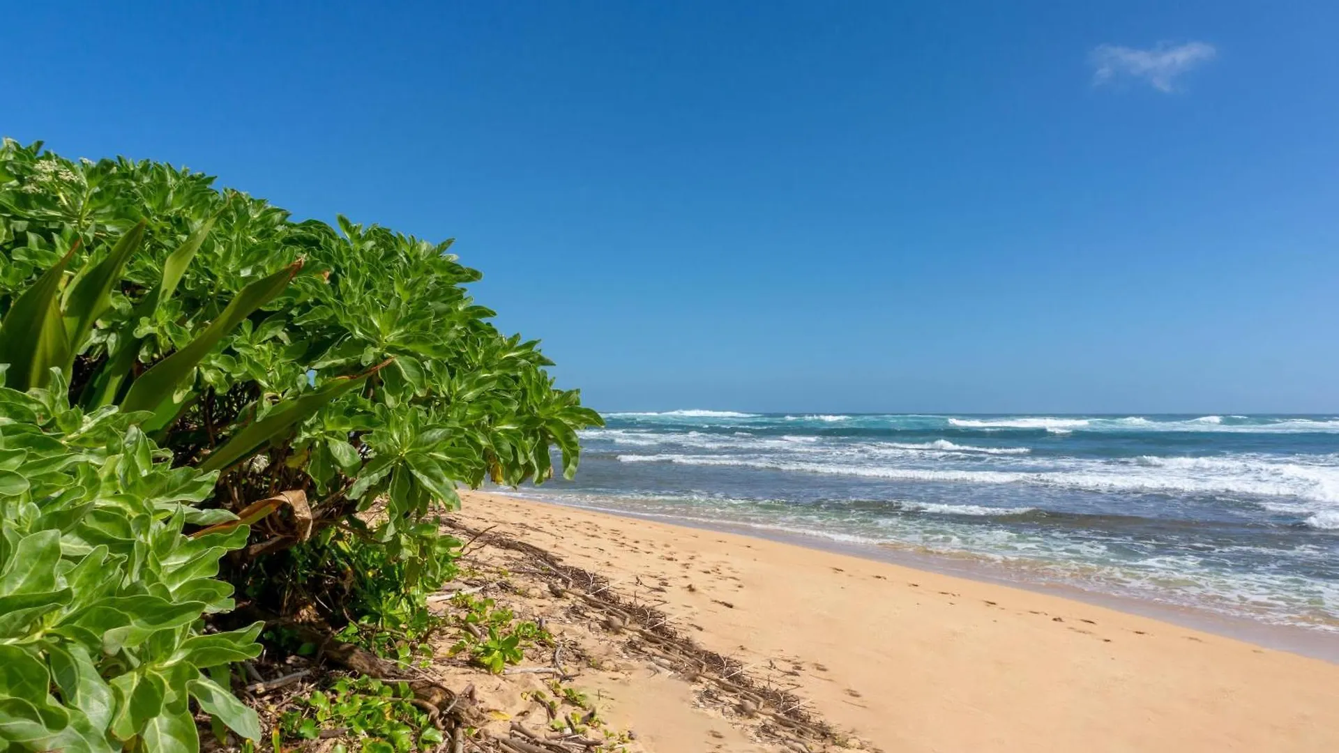 Διαμέρισμα Hanalei Colony Resort F3